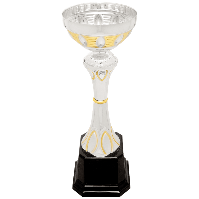Large cup trophy with a silver cup and black base.