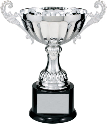 Silver Real Metal Cup Trophy.