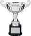 Silver Real Metal Cup Trophy.