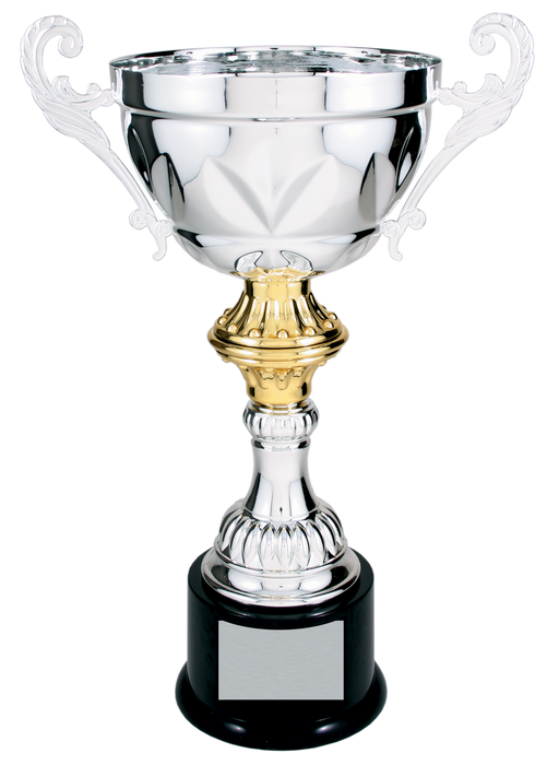 close up of custom silver cup trophy.