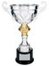 close up of custom silver cup trophy.