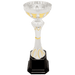 Large cup trophy with a silver cup and black base.